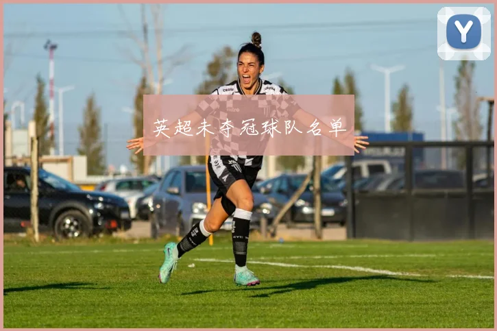 英超未夺冠球队名单