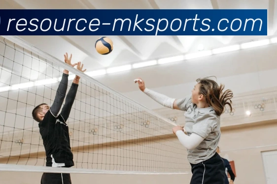 MK体育发展历程